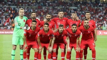 Milli Takım ve Fenerbahçe'nin eski yıldızı Amedspor'da