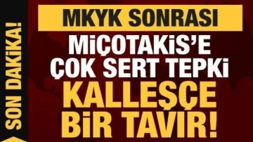 MKYK sonrası Mi&ccedil;otakis'e &ccedil;ok sert tepki: Kalleş&ccedil;e bir tavır