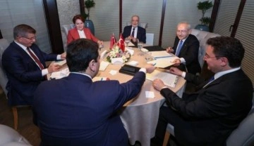 Muhalefet liderlerinin Davutoğlu'nun &ouml;nerisine sıcak bakmadığı iddia edildi