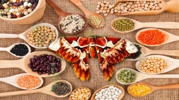 Mutfaktaki g&uuml;velerden nasıl kurtuluruz? G&uuml;veler ne yer, nasıl oluşur?