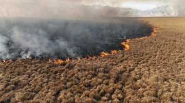 Nehil Sazlığı'ndaki yangın 4 gün sonra söndürüldü