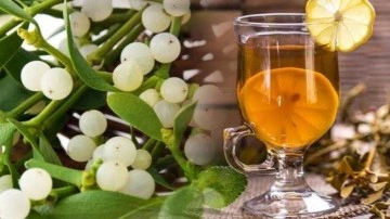 &Ouml;kse otu faydaları nelerdir? &Ouml;kse otu nasıl kullanılır?