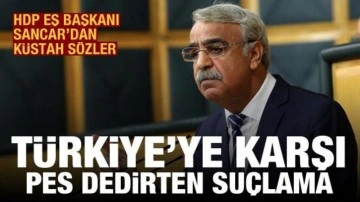 Olası kara harekatı HDP'yi panikletti! Mithat Sancar'dan pes dedirten su&ccedil;lama