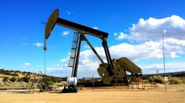 OPEC'in ham petrol üretimi nisanda günlük 62 bin varil azaldı