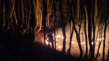 Ordu'da korkutan yangın! Ekipler müdahale ediyor