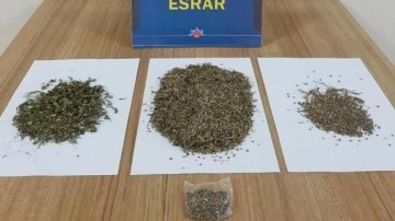 Ordu'da uyuşturucu operasyonunda 12 ş&uuml;pheli g&ouml;zaltına alındı