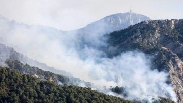 Orman Genel M&uuml;d&uuml;rl&uuml;ğ&uuml; a&ccedil;ıkladı! 3 ildeki orman yangınlarında son durum ne?