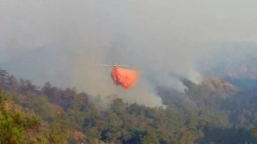 Orman yangınları ile m&uuml;cadele i&ccedil;in yerli imkanlarla kırmızı renkli sol&uuml;syon &uuml;retildi