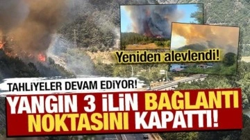 Orman yangınlarında son durum ne? İşte son gelişmeler...