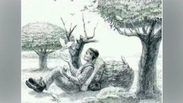 Ormanın i&ccedil;indeki gizli atı 7 saniyede g&ouml;rebilen olduk&ccedil;a az! Şahin g&ouml;zl&uuml; avlayan zeka testi!