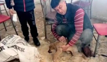 Osmaniye'de belediye personelinden insanlık &ouml;lmemiş dedirten davranış!