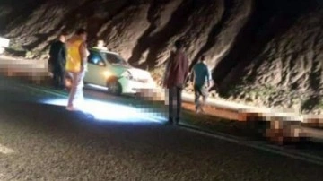 Otomobil s&uuml;r&uuml;ye &ccedil;arptı; 17 koyun &ouml;ld&uuml;