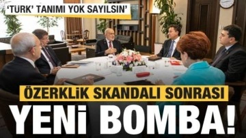 &Ouml;zerklik skandalından sonra yeni bomba: 'T&uuml;rk' tanımı kaldırılsın