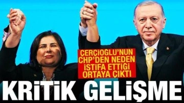 Özlem Çerçioğlu'nun CHP'den neden istifa ettiği ortaya çıktı