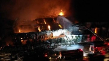Patlama sesi sonrası s&uuml;nger fabrikası alevlere teslim oldu