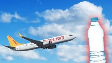 Pegasus'un &uuml;cretsiz suyu ne kadara mal oldu?