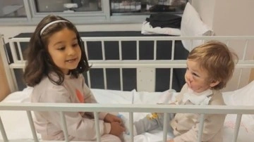 Pitbull dehşetinde akılalmaz savunma: Koruma içgüdüsüyle saldırdı!