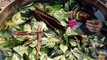 Prens Harry’de içiyordu! Ayahuasca çayı, turistin canını aldı