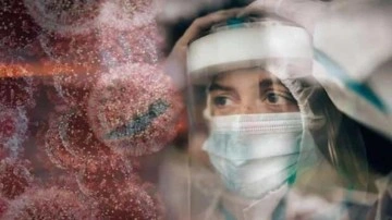 Prof. Dr. Şener'den domuz gribi uyarısı: Covid-19 kadar bulaşıcı ve &ouml;ld&uuml;r&uuml;c&uuml; olabilir!