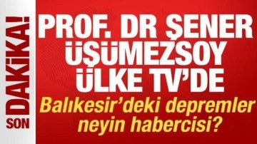 Prof. Dr. Şener Üşümezsoy: Sındırgı'da iki fay kırıldı, sıcak su vanası açıldı