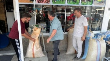 Rekolte düşünce fındık fiyatları pik yaptı