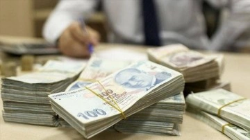 Rekor kırıldı! Türk şirketine 60 milyon dolarlık yatırım