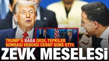 Rutte'den Trump'a "baba" benzetmesi: Zevk meselesi