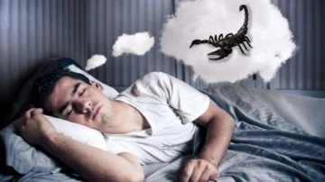 R&uuml;yada akrep g&ouml;rmek ne anlama gelir? R&uuml;yada akrep g&ouml;rmenin tabiri...