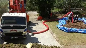 Saatlik ücreti 4 bin 500 TL! Fındıkta patoz mesaisi başladı