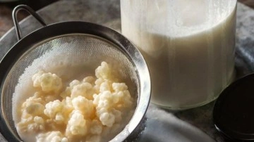 Sabah a&ccedil; karnına kefir i&ccedil;menin faydaları nedir? Her g&uuml;n kefir i&ccedil;mek, laktozsuz kefir...