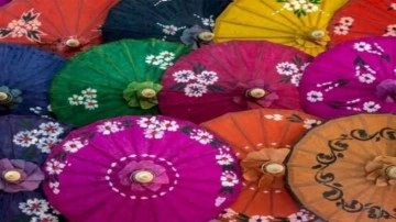 Sadece d&acirc;hilerin &ccedil;&ouml;zd&uuml;ğ&uuml; zeka testi: Resimdeki gizli kelebeği 12 saniyede yalnızca %1'i buldu