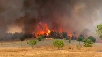 Safranbolu'da orman yangını