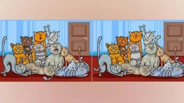 Şahin g&ouml;zl&uuml;lerin bulduğu zeka testi: 35 saniyede 10 farkı sadece y&uuml;ksek zekalılar bulabiliyor!