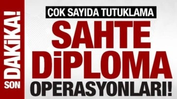 Sahte diploma ve ehliyet çetesine darbe: 197 gözaltı, 37 tutuklama
