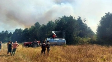 Sakarya'da orman yangını! Çok sayıda ekip sevk edildi