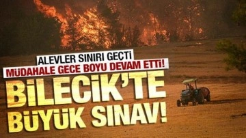 Sakarya'daki yangın Bilecik'e sıçradı! Alevlerle mücadele sürüyor