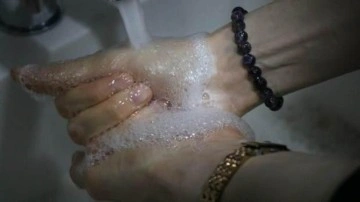 'Salmonella' vir&uuml;s&uuml;ne dikkat! Gıda sekt&ouml;r&uuml;n&uuml;n y&uuml;zde 60'ı tehlike altında