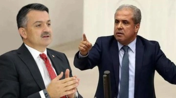 Şamil Tayyar'ın Bekir Pakdemirli'ye &ouml;fkesi dinmiyor! Sosyal medyadan yine topa tuttu