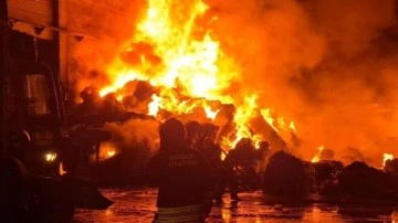Samsun'da geri dönüşüm fabrikasında yangın