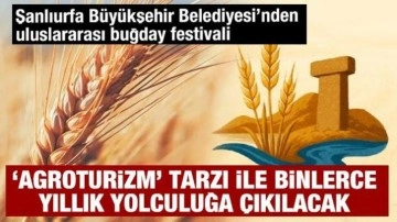 Şanlıurfa Büyükşehir Belediyesi’nden uluslararası buğday festivali