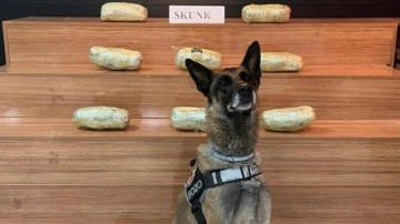 Şanlıurfa'da 4 kilo uyuşturucu ele geçirildi