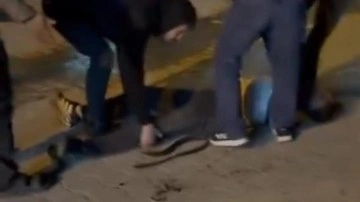 Şanlıurfa'da bıçaklı kavga: 3 yaralı