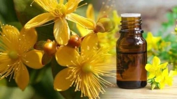 Sarı kantaron yağı y&uuml;ze s&uuml;r&uuml;l&uuml;r m&uuml;? Sarı kantaron yağı faydaları nelerdir, nasıl kullanılır?