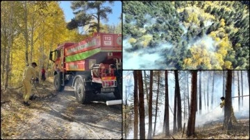 Sarıkamış'ta çıkan orman yangınında yaklaşık 1,5 hektar alan zarar gördü.