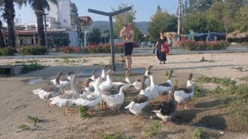 Şartlı tahliye edilmişlerdi: Özgürlüğün tadını sahilde çıkardılar