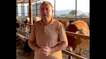 Sattığı kurbanın fotoğrafını çekmek isteyen iş insanının feci ölümü