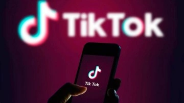 Se&ccedil;im &ouml;ncesi TikTok'ta 700 bin T&uuml;rk hesap &ccedil;alınmış