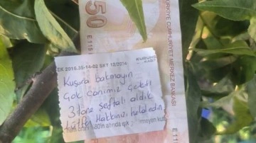 Şeftali ağacında duygulandıran not: 'İnsanlık ölmemiş' dedirtti!