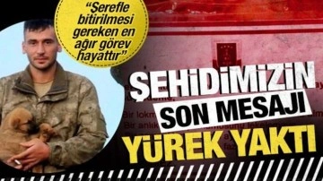 Şehidimizin son mesajı yürek yaktı: Şerefle bitirilmesi gereken en ağır görev hayattır