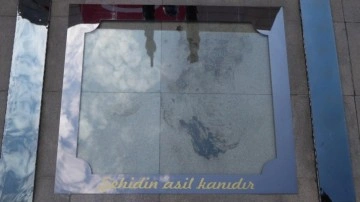 Şehit Ömer Halisdemir'in kanı korumaya alındı!